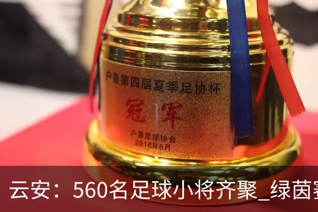 云安：560名足球小将齐聚 绿茵赛场逐梦争锋