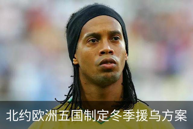 北约欧洲五国制定冬季援乌方案