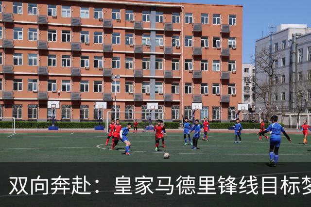 双向奔赴：皇家马德里锋线目标梦想转会西甲
