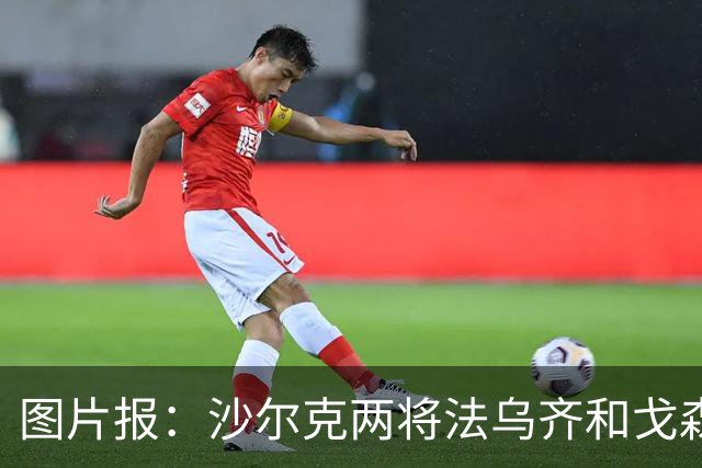 图片报：沙尔克两将法乌齐&戈森斯严重撞伤，将缺席杯赛