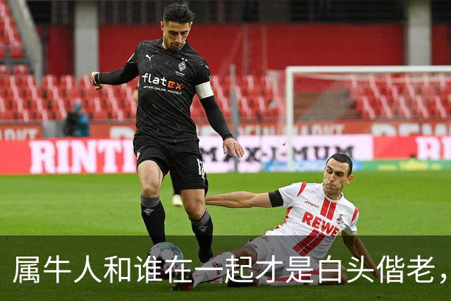 属牛人和谁在一起才是白头偕老，幸福生活到晚年