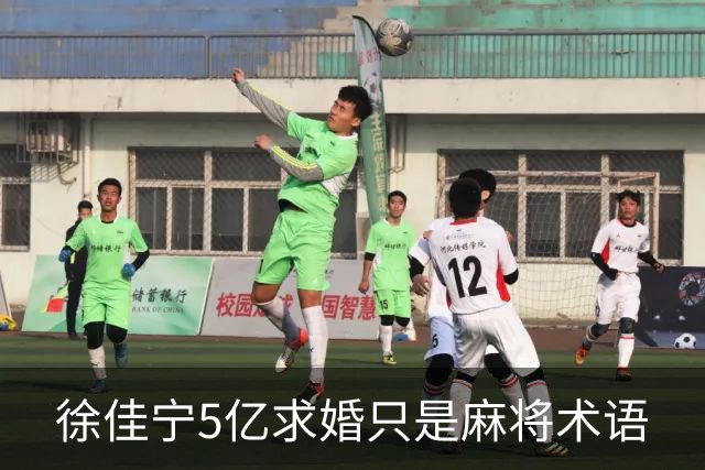 徐佳宁5亿求婚只是麻将术语