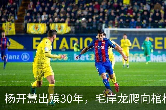 杨开慧出殡30年，毛岸龙爬向棺材哭喊：我要和妈妈永远在一起！
