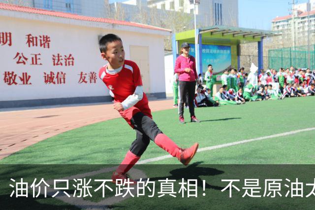 油价只涨不跌的真相！不是原油太贵，是几千万电车没人交养路费