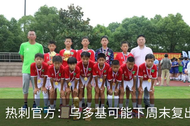 热刺官方：乌多基可能下周末复出，麦迪逊可战切尔西