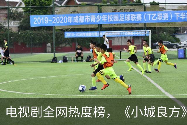 电视剧全网热度榜，《小城良方》跌至第二，第一热度高达75.24