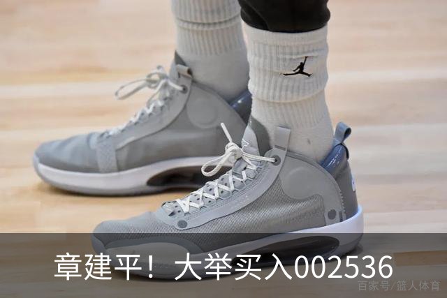 章建平！大举买入002536