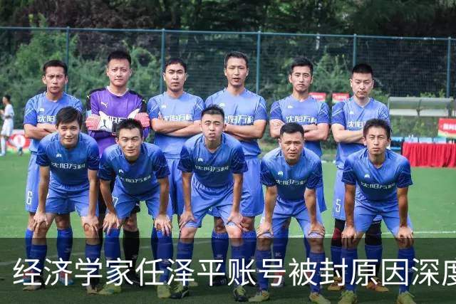 经济学家任泽平账号被封原因深度分析