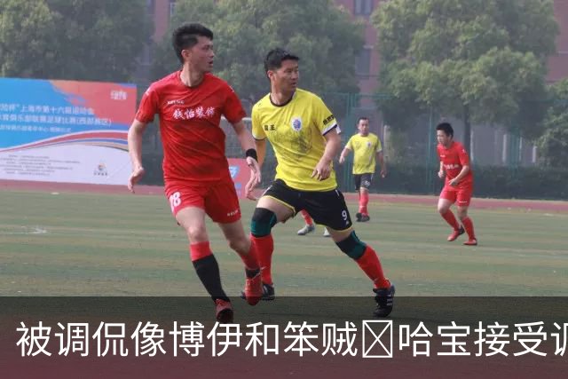 被调侃像博伊和笨贼🤣哈宝接受调侃：一旦接受这个设定😂