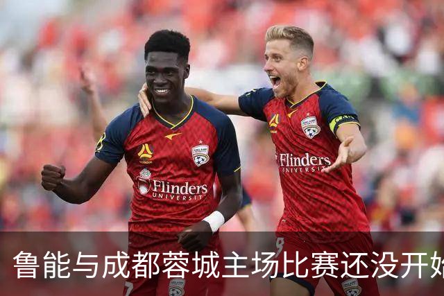 鲁能与成都蓉城主场比赛还没开始踢，这位王牌队长就决定提前结束本赛季征程