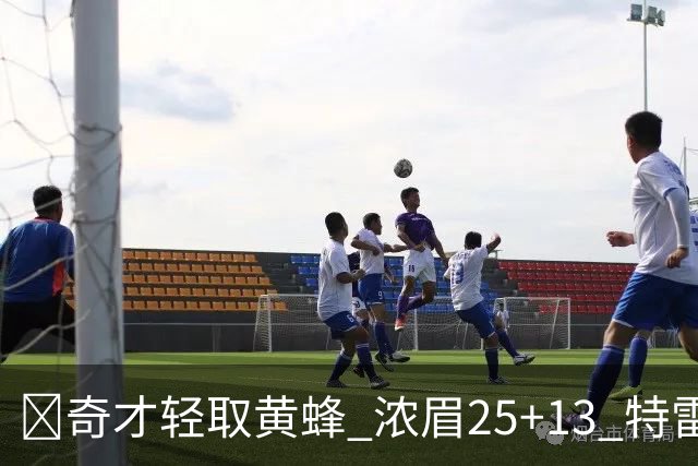 🏀奇才轻取黄蜂 浓眉25+13 特雷·杨21+7+9 状元迪班萨17+8