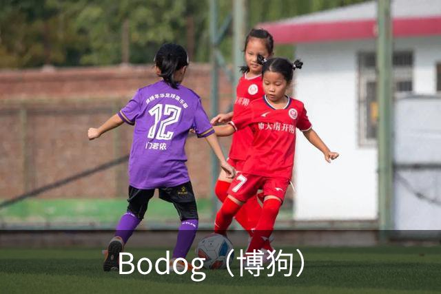 Bodog（博狗）公司简介图片